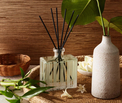Bamboo Reed Diffuser by Nest Fragrances
