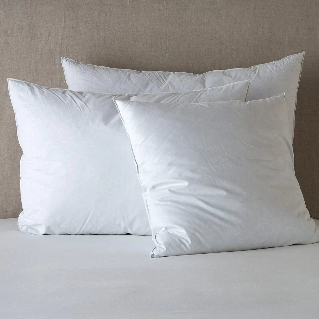 Essential Down Sham Insert in Deluxe from Bella Notte Linens