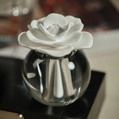 Apothecary Guild Valentina 100ml Diffuser in Moroccon Peony from Zodax