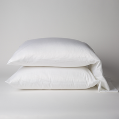 King Bria Pillowcase in White from Bella Notte Linens