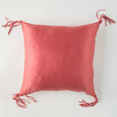 Taline 24 x 24 Throw Pillow in Poppy from Bella Notte Linens
